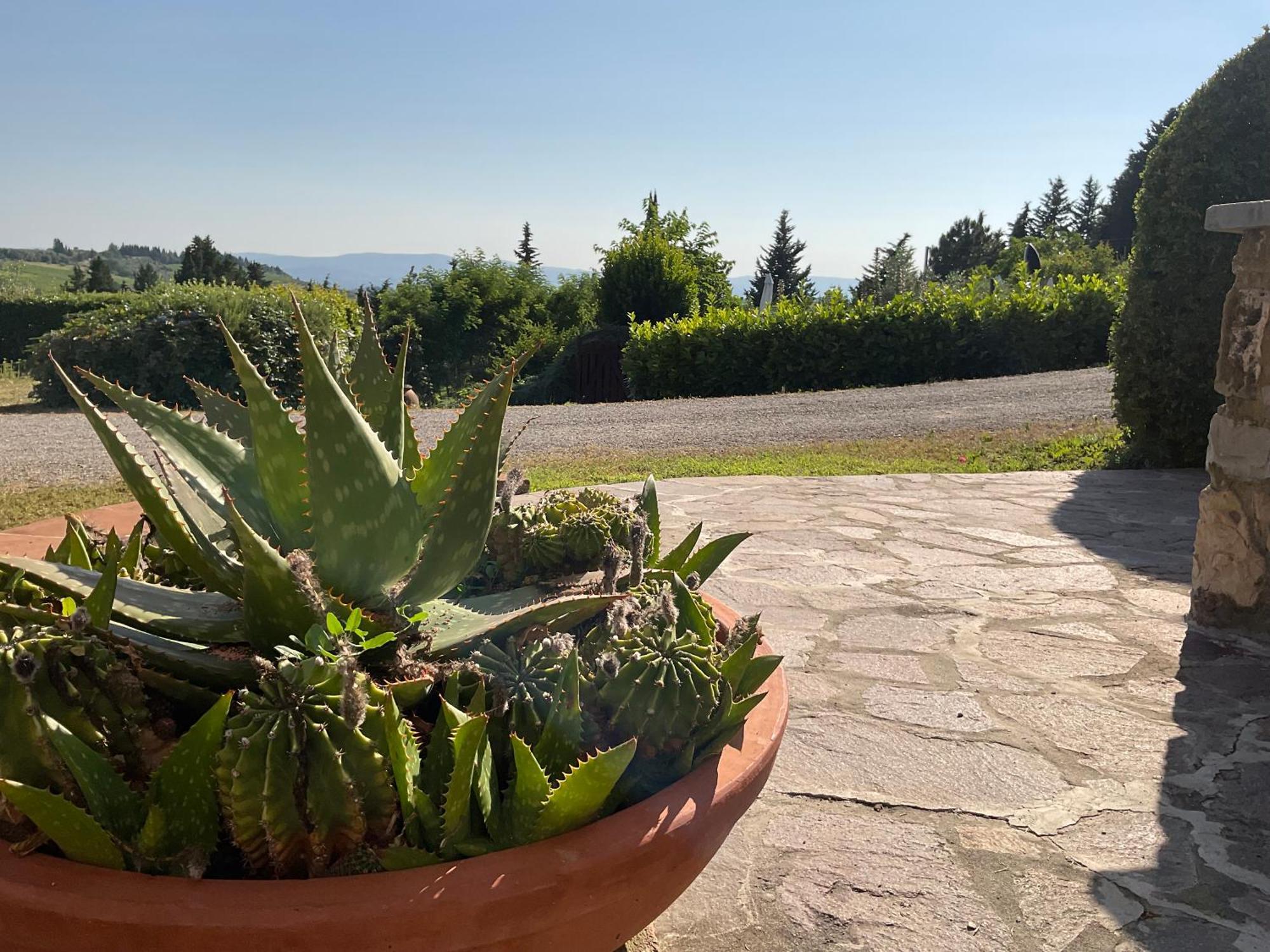 Villa Il Borraccio Tavarnelle Val di Pesa Екстер'єр фото